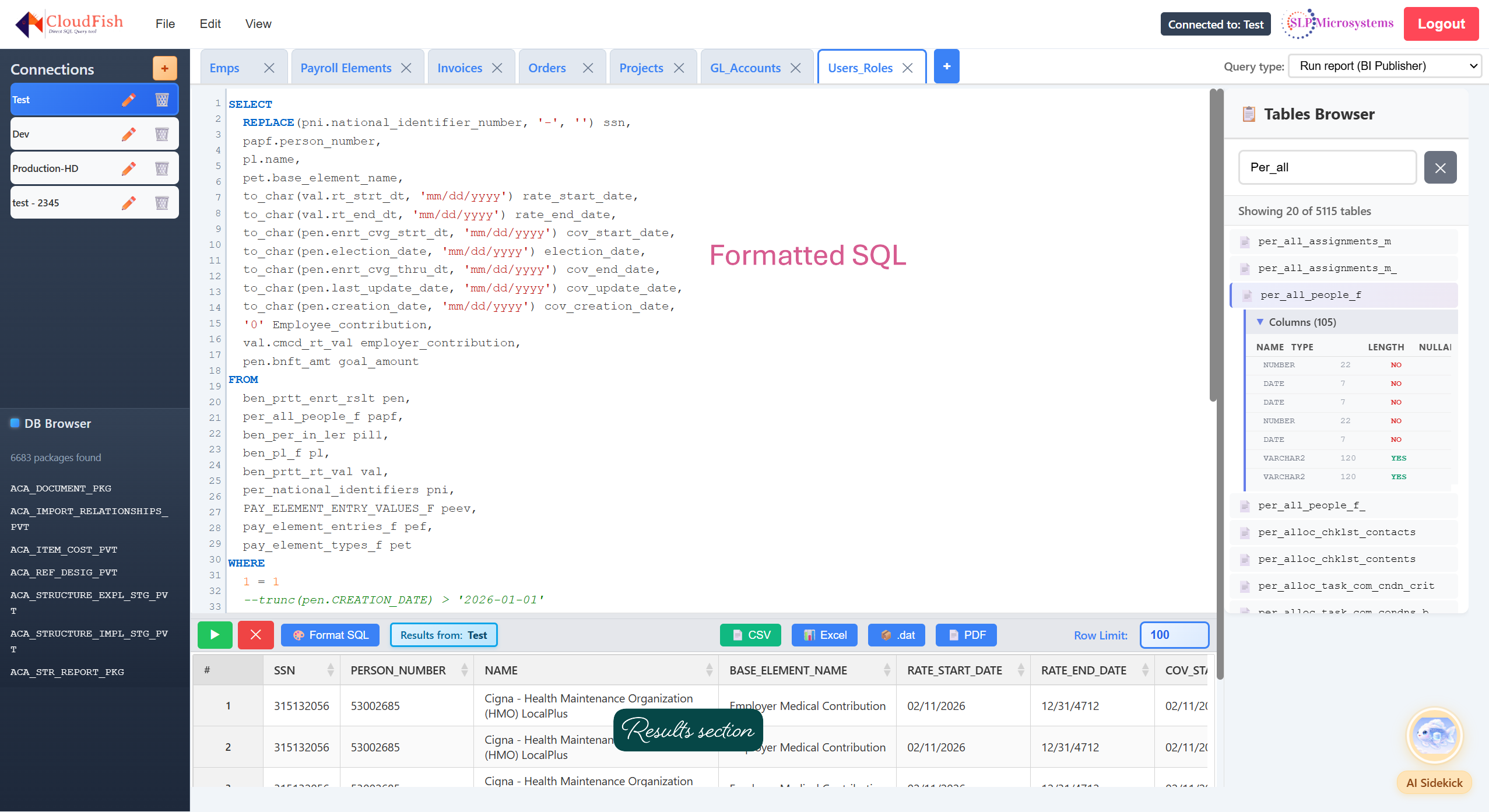 CloudFish app: connections sidebar, SQL worksheet, DB Browser, Tables Browser, Run and Format SQL, export to CSV/Excel/PDF